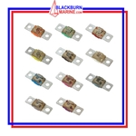 MIDI/AMI Fuses & Blocks | Blackburn Marine Supply